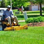 lawn care eagan