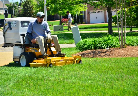 lawn care eagan